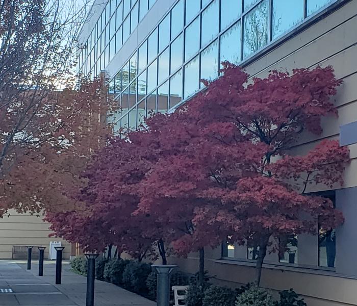Student center  north