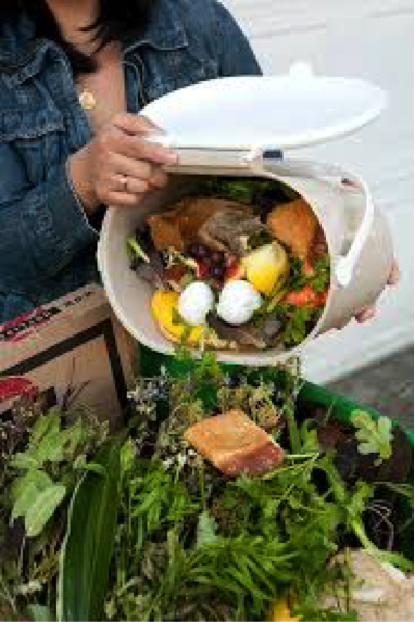 Food scraps going into a composter.